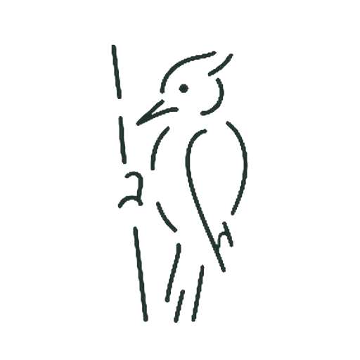 きつつき