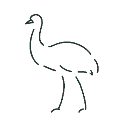 だちょう