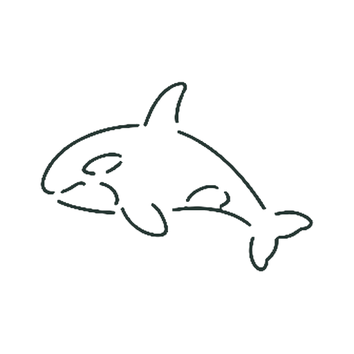 しゃち