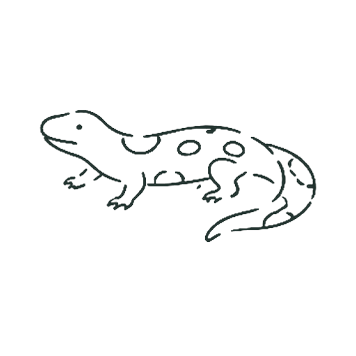 とかげ