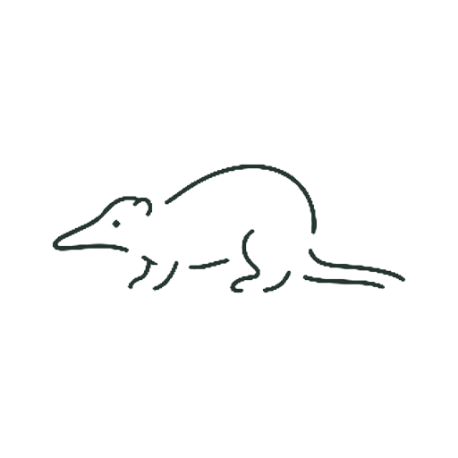 とがりねずみ