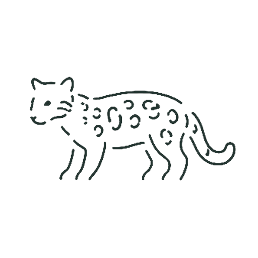 ヒョウ