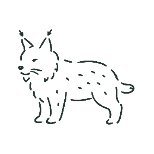 オオヤマネコ