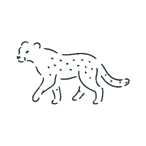 チーター