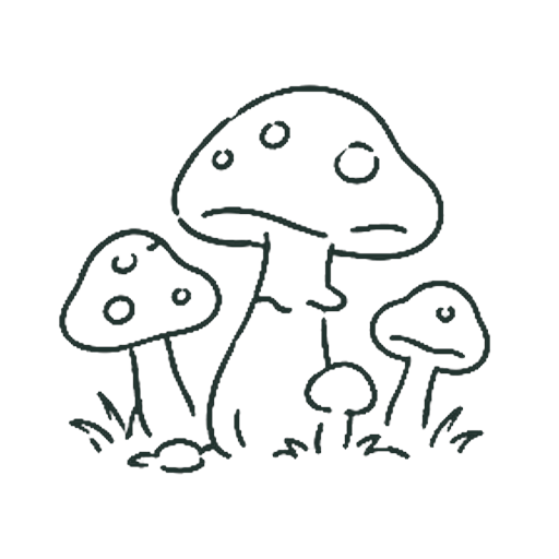 きのこばたけ
