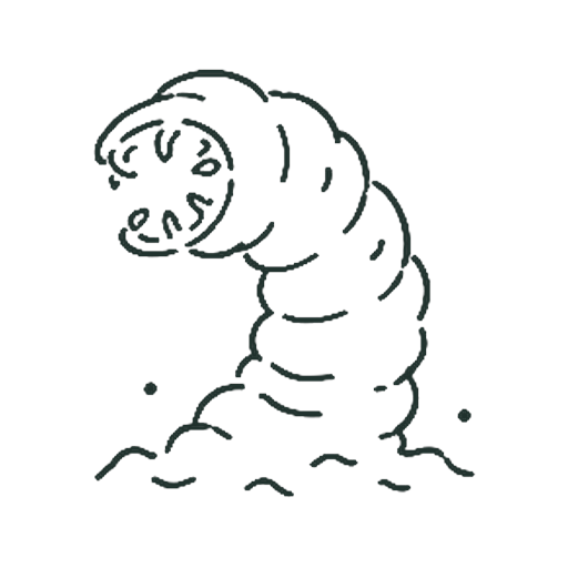 あなむし
