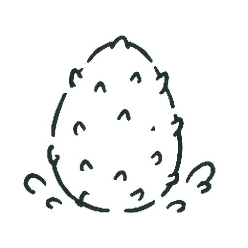 ドラゴンのたまご