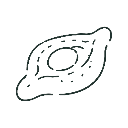 ハチャプリ