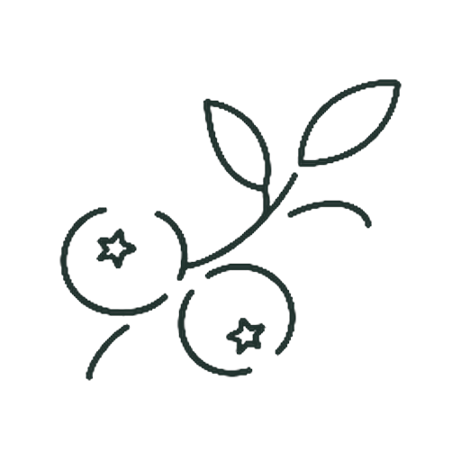 ブルーベリー