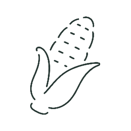 とうもろこし
