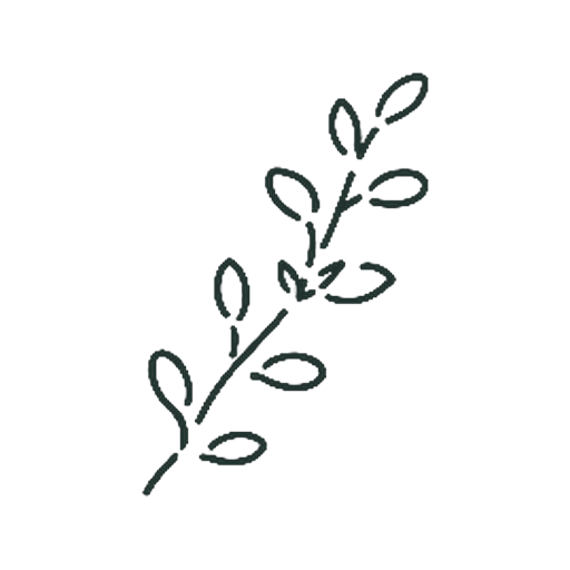 タイム