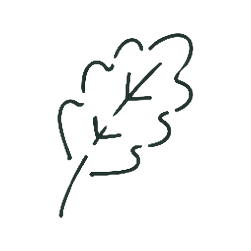 かしのは