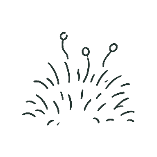 こけ