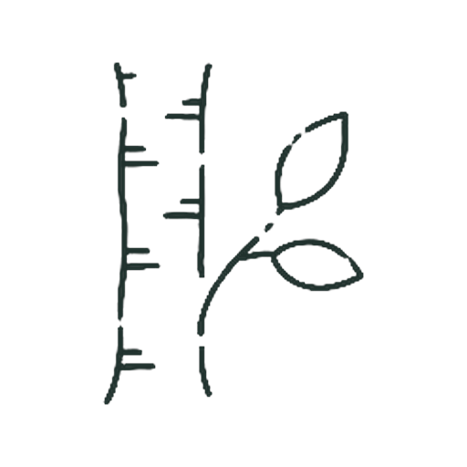 きのみき