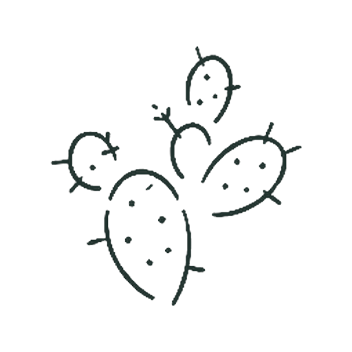 うちわサボテン