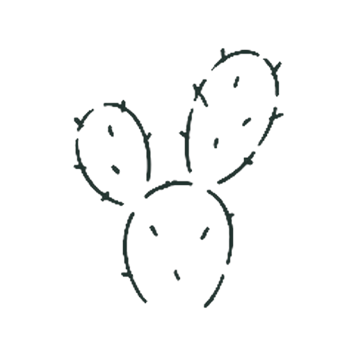 うさみみサボテン
