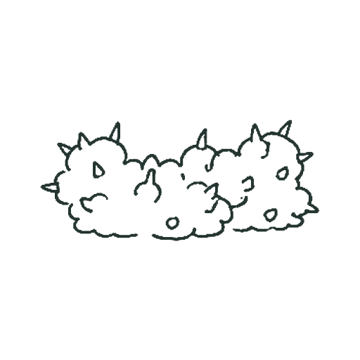 いばらの茂み