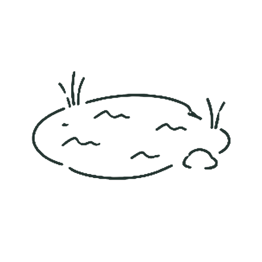 池